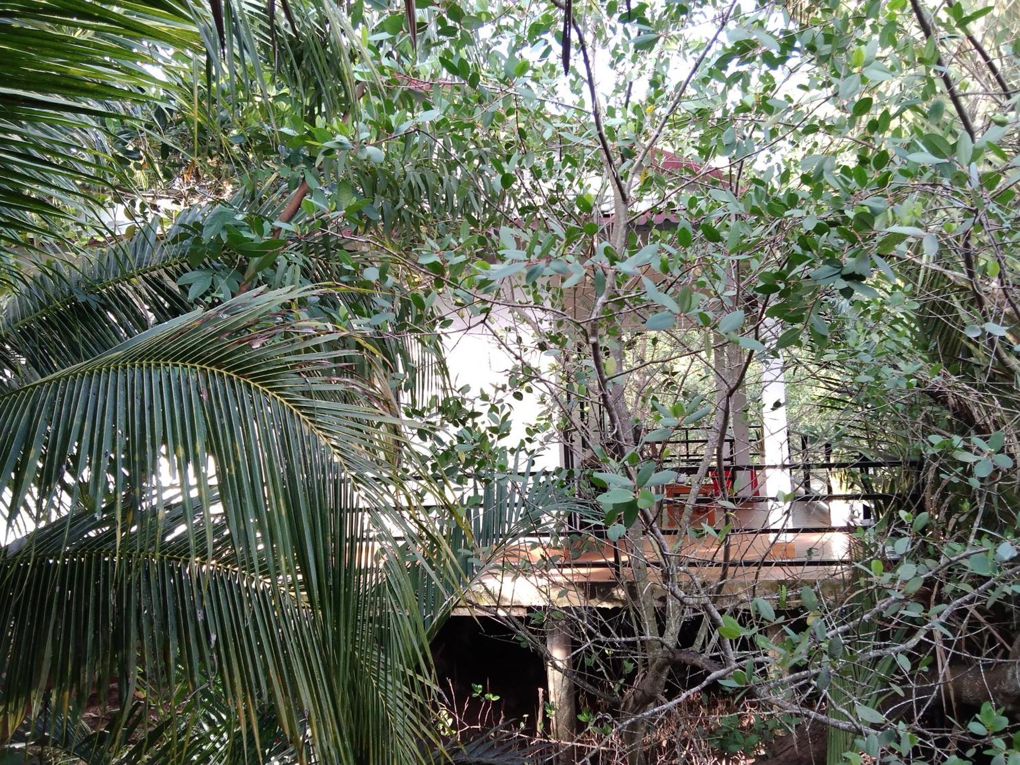 Quoc Phuong Riverside Homestay Ben Tre Exterior foto